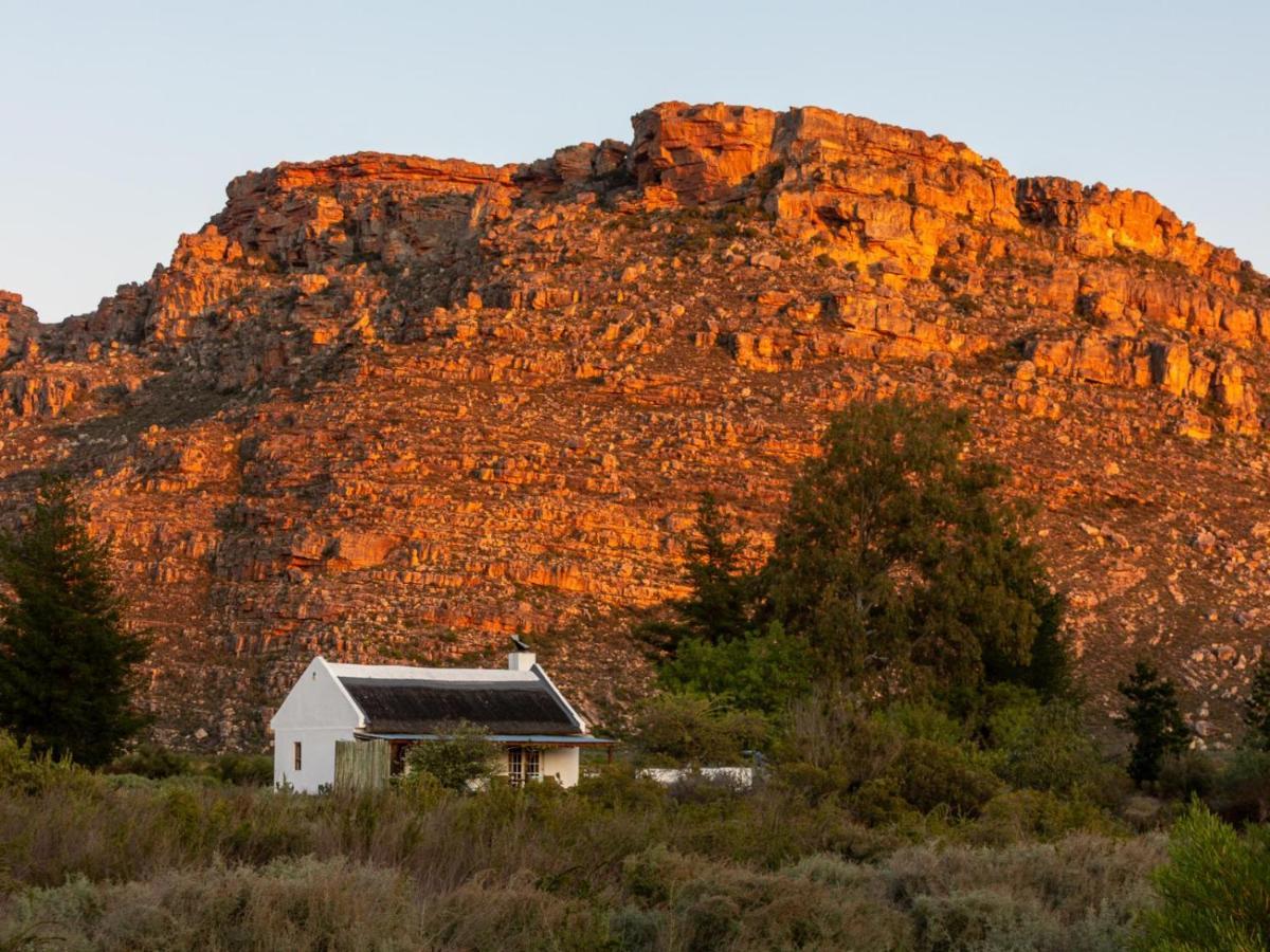 Alpha Excelsior Guest Farm Clanwilliam Exterior foto