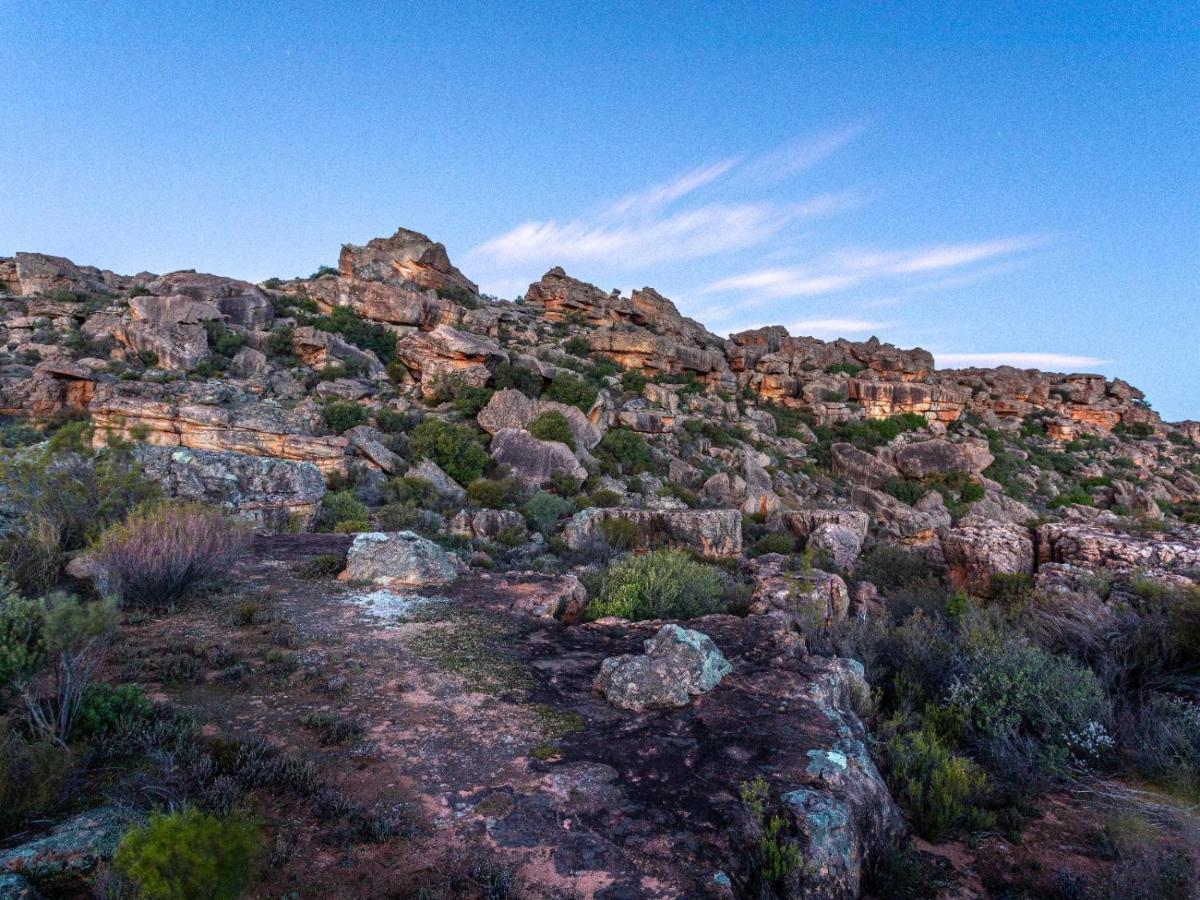 Alpha Excelsior Guest Farm Clanwilliam Exterior foto