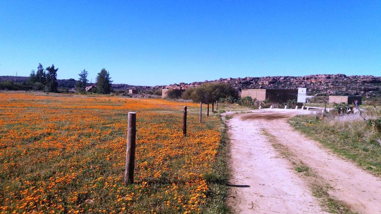 Alpha Excelsior Guest Farm Clanwilliam Exterior foto