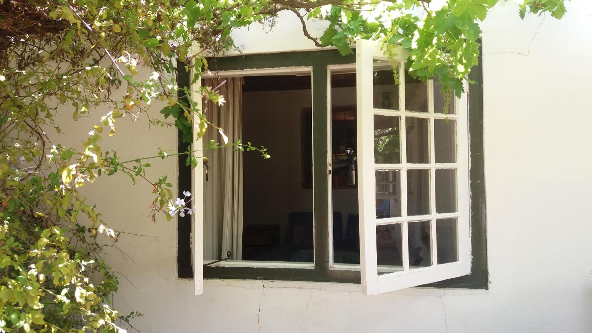 Alpha Excelsior Guest Farm Clanwilliam Quarto foto