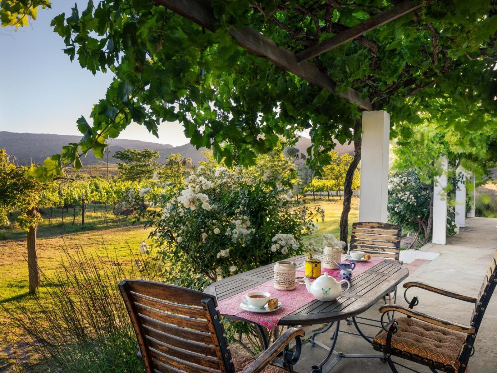 Alpha Excelsior Guest Farm Clanwilliam Quarto foto