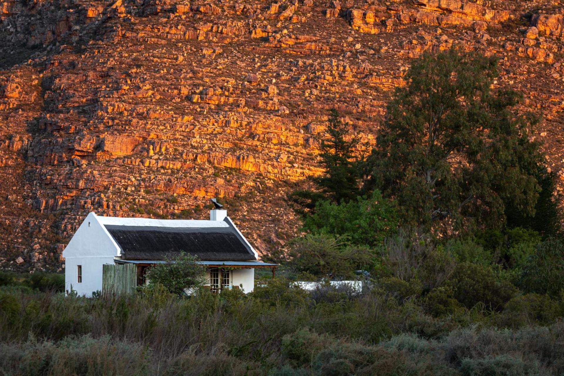 Alpha Excelsior Guest Farm Clanwilliam Exterior foto